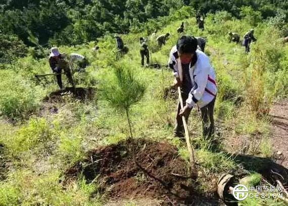 QQ截圖20180711101100