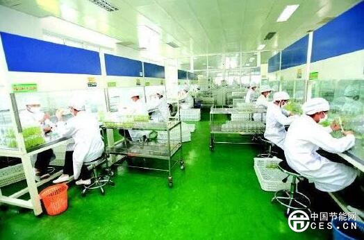 QQ截圖20180712225851