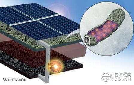 QQ截圖20180723073019