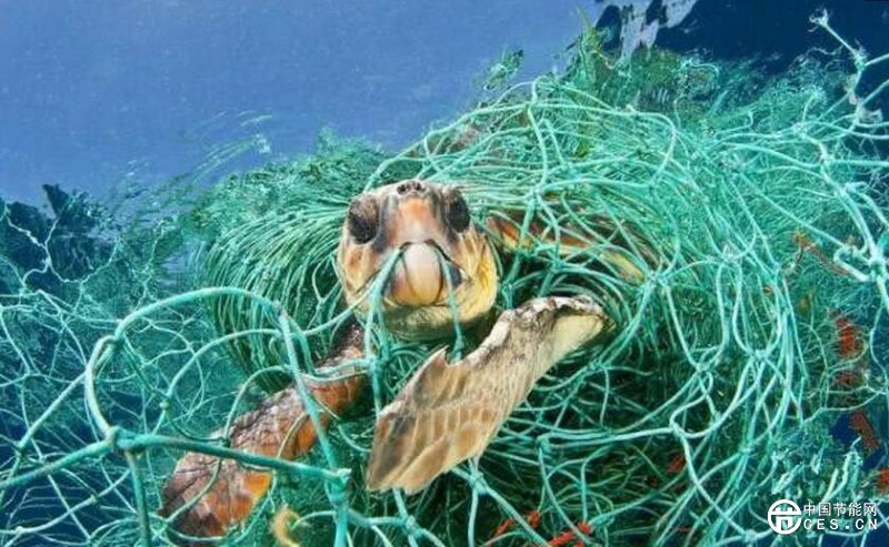 QQ截圖20180724064804