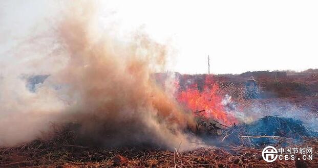 QQ截圖20180729221010