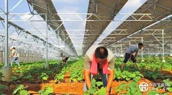 QQ截圖20180731151138