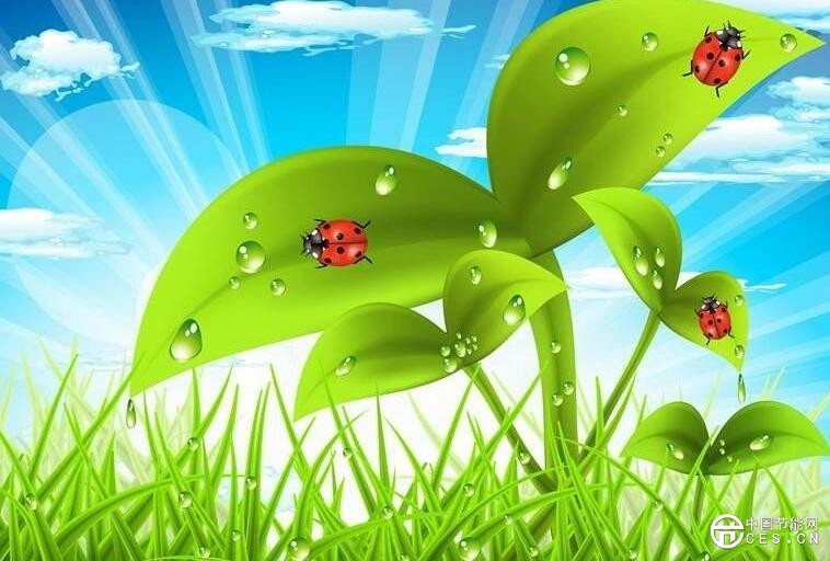 QQ截圖20180803065610