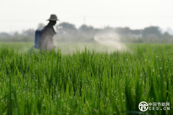 中國科學(xué)家用稻殼制備出鉛炭電池:充電速度提高8倍