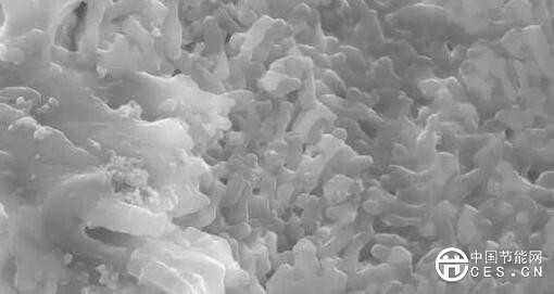 QQ截圖20180805230625