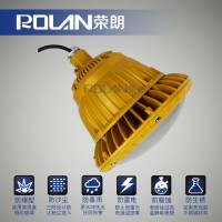 燃料庫BLD118LED防爆燈；50W防爆節(jié)能燈