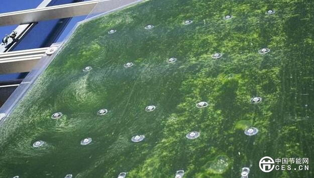 QQ截圖20180808210429