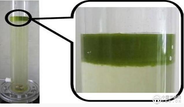 QQ截圖20180808210421