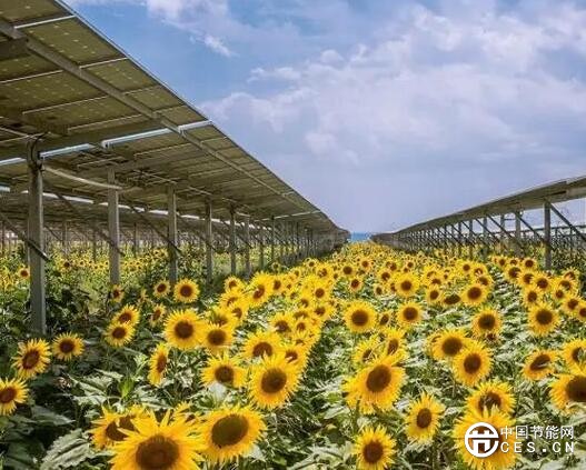 QQ截圖20180813134256