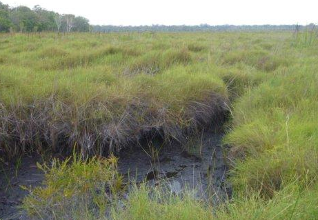 QQ截圖20180912130447