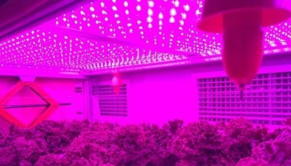 QQ截圖20180919112510