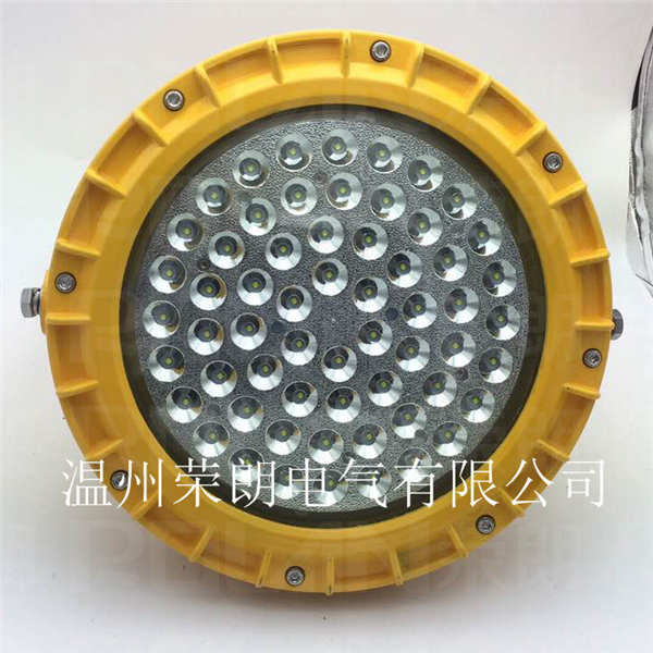 BDE525高亮度LED防爆燈