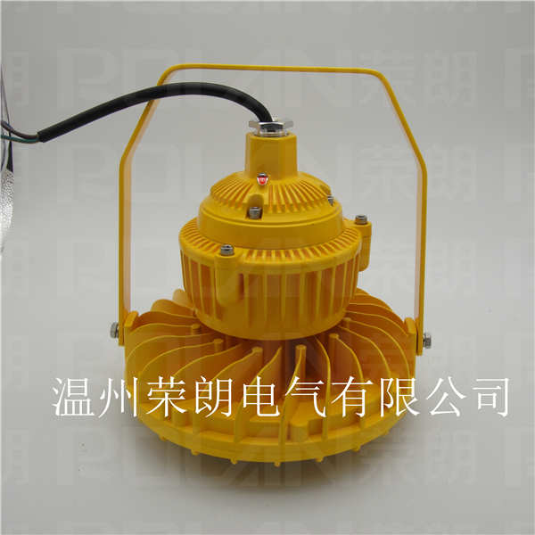 BLD220LED防爆燈 50W/60W防爆工廠燈