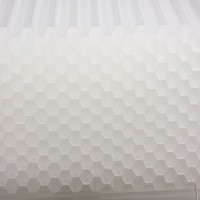 適應(yīng)性強能適應(yīng)不同水質(zhì)蜂窩斜管填料