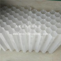 沉淀池蜂窩斜管填料 六角蜂窩斜管填料價格 沃斯特環(huán)保