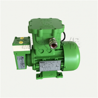 N87KTE 防爆取樣泵