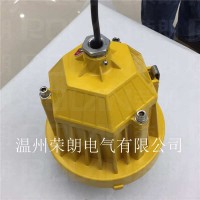 IIC級防爆平臺燈 DGS48LED防爆燈