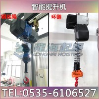 600kg智能提升機(jī)最大載重 鋼絲繩電動(dòng)平衡器工作視頻