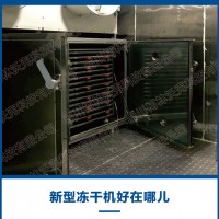 真空凍干機 生產型節(jié)能真空冷凍干燥機凍干菇類菌類