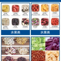 真空凍干機 干燥箱凍干機多歧管掛瓶壓蓋預凍蟲草食物用