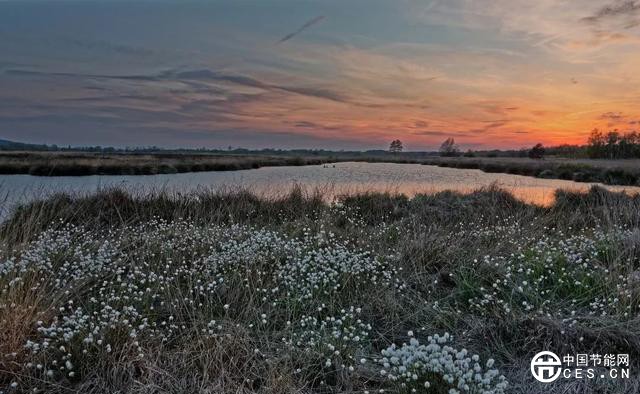 北極變暖速度比任何地方都要快！如何預測北極濕地的未來？
