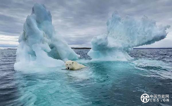 北極變暖速度比任何地方都要快！如何預測北極濕地的未來？
