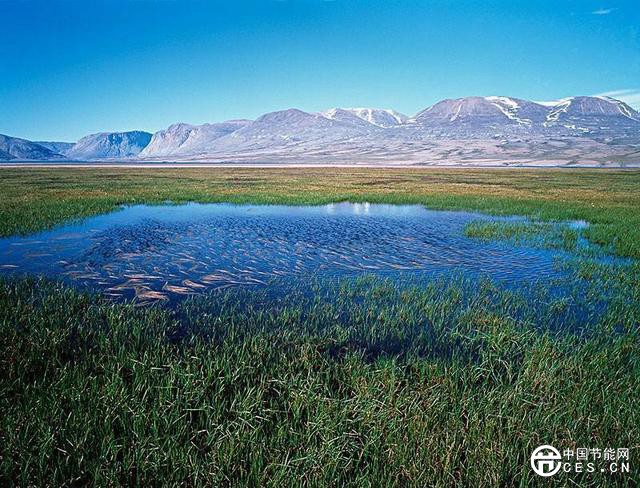 北極變暖速度比任何地方都要快！如何預測北極濕地的未來？