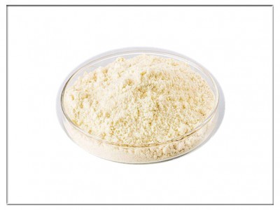 BK催化劑微粉洗滌設(shè)備|催化劑微粉洗滌設(shè)備廠家