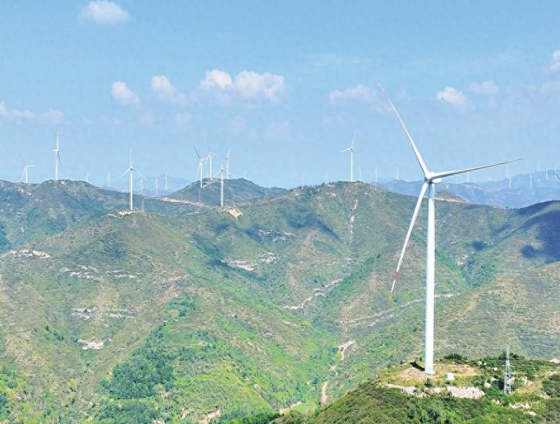 聚焦低碳轉(zhuǎn)型 逐“綠”向“新”而行