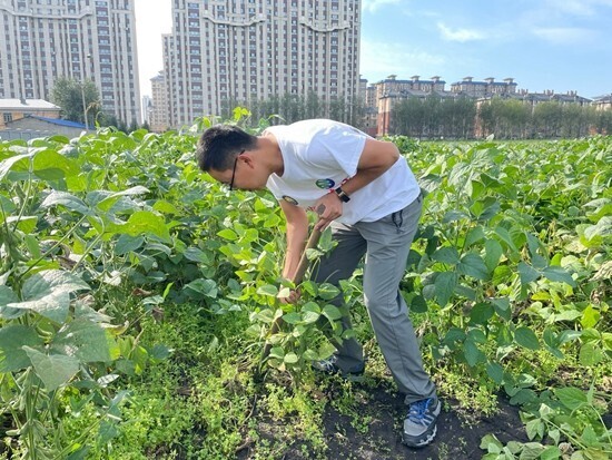 蓬勃發(fā)展的綠色職業(yè)帶來就業(yè)新機遇