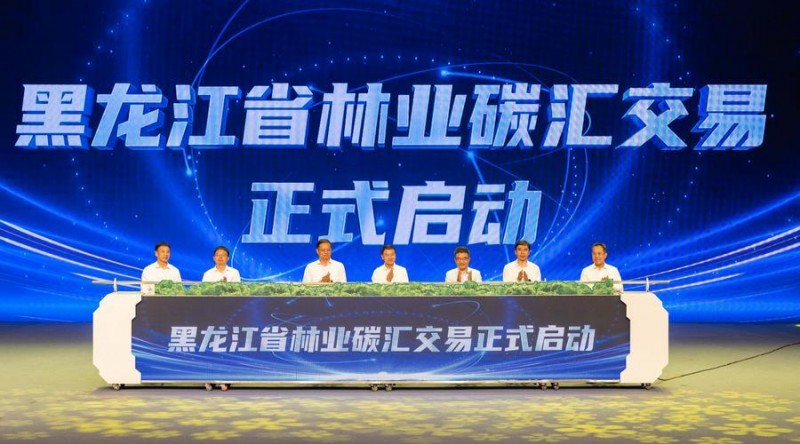 中國加強(qiáng)森林碳匯建設(shè)促進(jìn)實(shí)現(xiàn)碳中和目標(biāo)