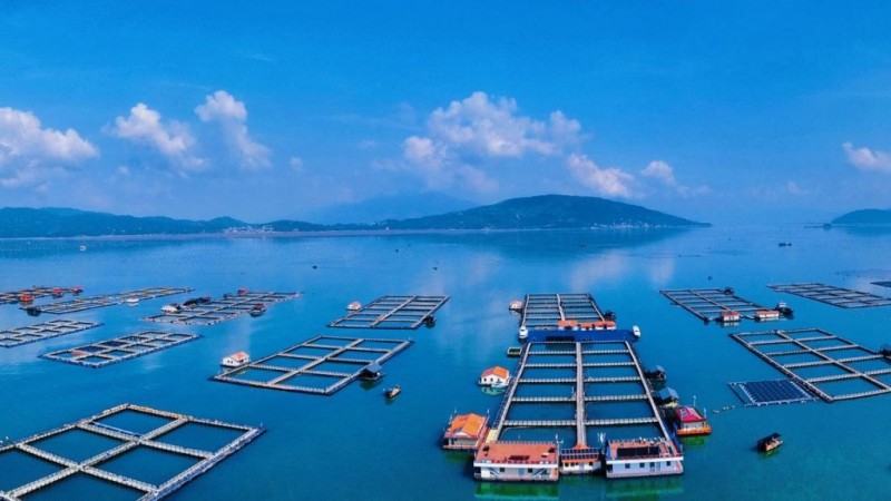 依海圖興 向海求新——福建加快建設(shè)“海上福建”，為新福建建設(shè)注入強(qiáng)勁“藍(lán)色動(dòng)能”