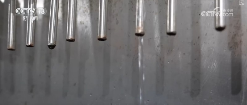 煉化工廠成鳥兒新“家” “綠色工廠”盡顯工業(yè)之美