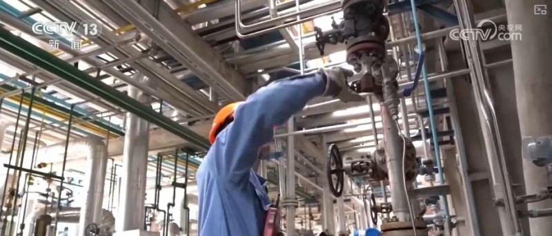 煉化工廠成鳥兒新“家” “綠色工廠”盡顯工業(yè)之美