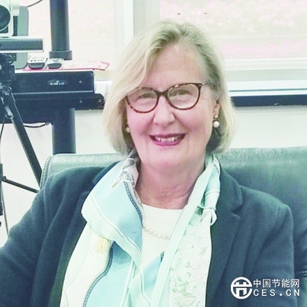 德國能源署署長克里斯蒂娜·哈弗坎普：德中深化綠色合作為全球注入新動能