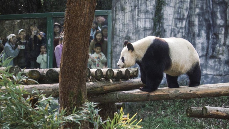 低碳旅游如何“名副其實(shí)”？碳排放計(jì)算標(biāo)準(zhǔn)和減排路徑是景區(qū)轉(zhuǎn)型關(guān)鍵