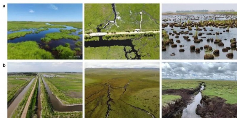 干涸的濕地會(huì)加速碳分解嗎？