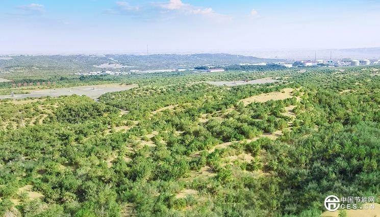 陽光“養(yǎng)綠”首條零碳沙漠公路