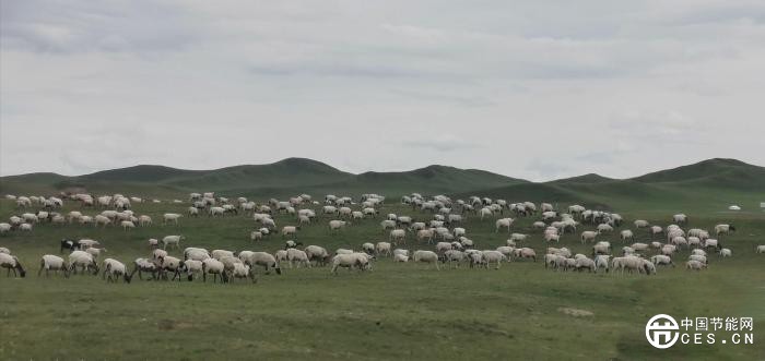 中國團(tuán)隊(duì)系統(tǒng)評(píng)估：青藏高原已實(shí)現(xiàn)溫室氣體凈零排放