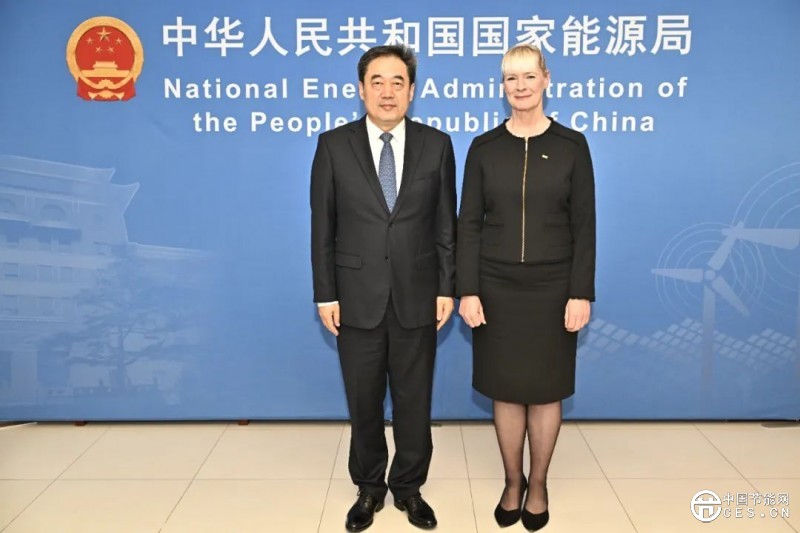 國(guó)家能源局主要負(fù)責(zé)人會(huì)見(jiàn)世界能源理事會(huì)總干事