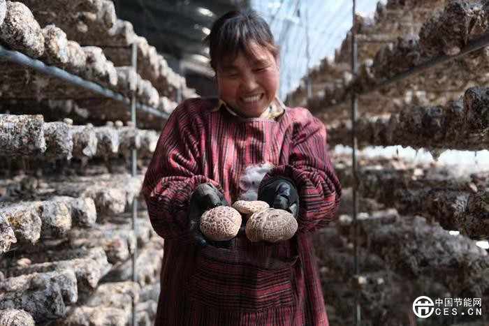 中國(guó)鄉(xiāng)村探索低碳發(fā)展路徑 構(gòu)建可持續(xù)未來(lái)