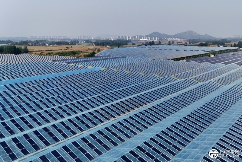 科技賦能可持續(xù)發(fā)展 中國為全球生態(tài)治理點(diǎn)燃新引擎