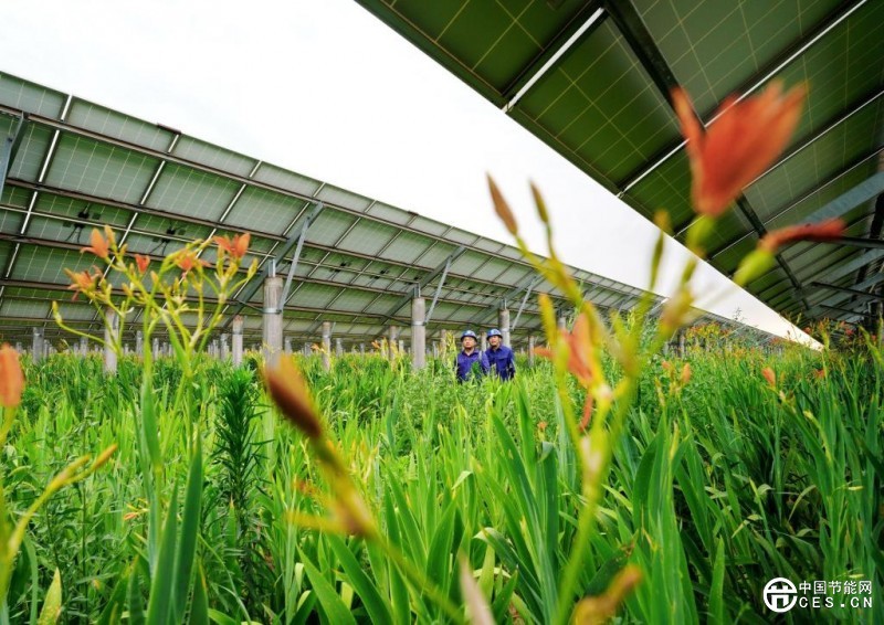 河北：推進(jìn)清潔能源項(xiàng)目建設(shè) 助力綠色低碳發(fā)展