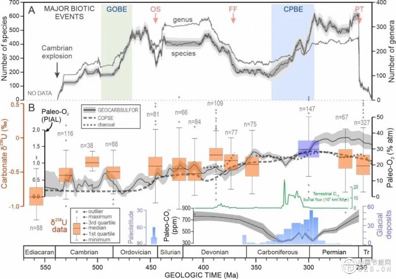 全球變暖竟讓海洋缺氧？