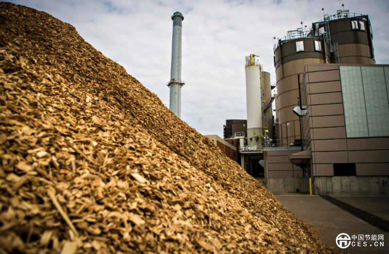 分析生物質(zhì)能源的真實(shí)價值與挑戰(zhàn)