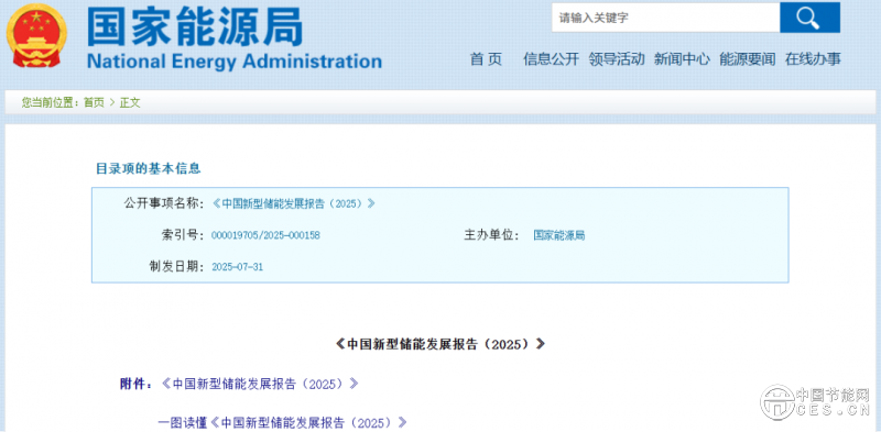 國家能源局發(fā)布《中國新型儲能發(fā)展報告2025）》