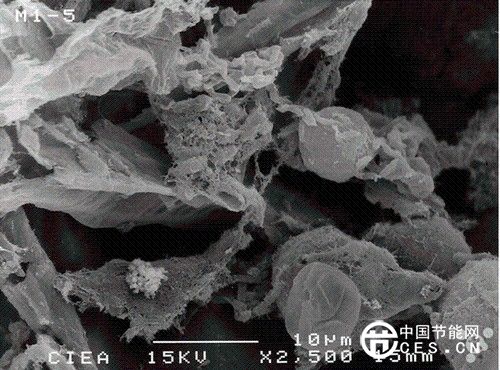 萬(wàn)萬(wàn)沒(méi)想到！花生殼竟能拯救北京霧霾