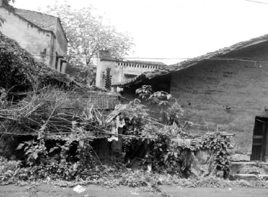 為建小南海水電站，2006年，官方下達“封庫令”，禁止房屋建設(shè)以及招商引資。8年后，中壩島上許多房屋都成了危房。本報記者 鄧全倫 攝