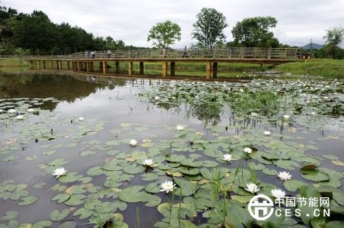 福建長(zhǎng)汀汀江國(guó)家濕地公園