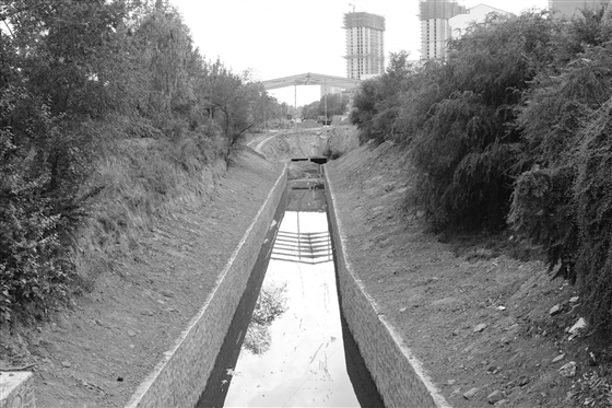 瀟河二干渠完成整修的河道